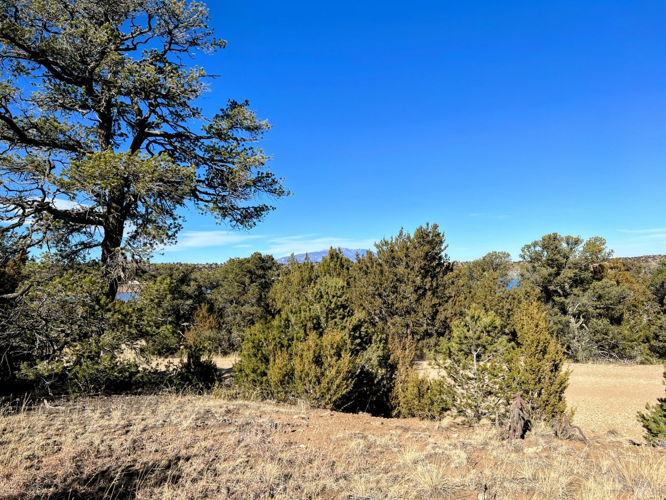 TBD Spanish Peaks Village 1 22, Walsenburg Bachman & Associates