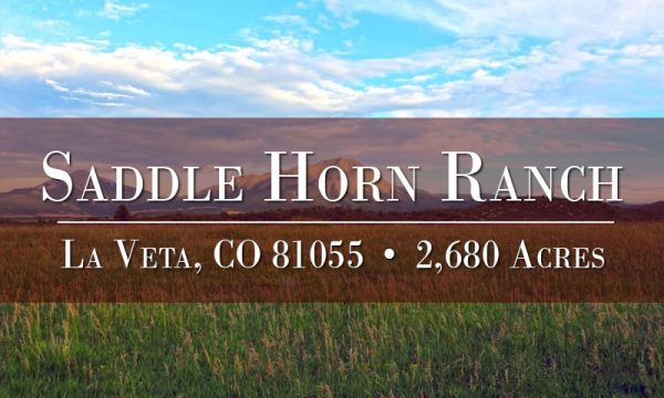 Saddle Horn Ranch Property for Sale