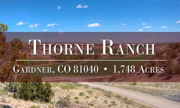 Thorne Ranch Property for Sale